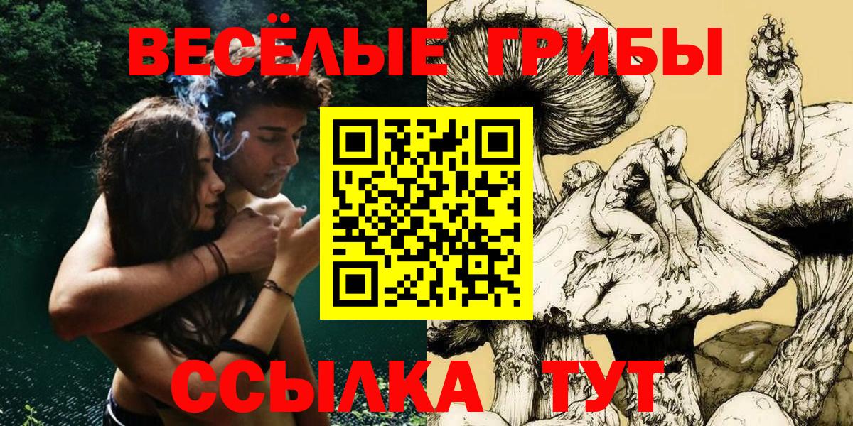 Галлюциногенные грибы Psilocybe Муравленко